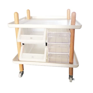 Professional Rolling Trolley Cart Shelves Beauty Salon Storage Equipment Spa Movable Organizer