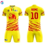 Professional soccer wear jacket with cheap price