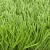 Professional Sport  Soccer Grass Synthetic Artificial Grass For Football Field