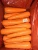 Import Promotional price wholesale fresh and delicious juicy crispy carrots from China