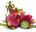 Purple Dragon Fruit