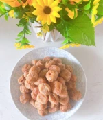 Qualities product wholesale Fruit Dried Salty Plum wet prune