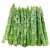 Import Quality Fresh Asparagus from Canada