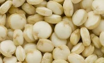 Quinoa Grain/ Quinoa Seeds/Organic Quinoa Grain for sales