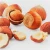 Import Raw Hazelnut / Organic Grade Hazelnut/Hazel Nuts for sale Online from Ukraine