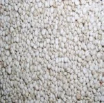 Red And White Sorghum For Sale / Sorghum grains