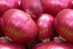 Red Onions Export To Malaysia Srilanka Bangladesh Maldives