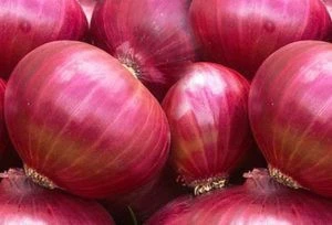 Red Onions Export To Malaysia Srilanka Bangladesh Maldives