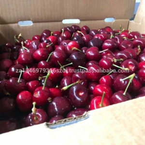 Red Sweet Cherry / Fresh Chery Fruit /Fresh Fruits for sell