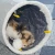 Import Rena Pet Foldable Good Quality Interactive Pet Crinkle Long Cat Tunnel with Funny Playing Toys from China