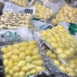 Rich nutrition Fresh ginkgo nuts for sale