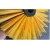 Import Road Snow Sweeper Brush Piece from China
