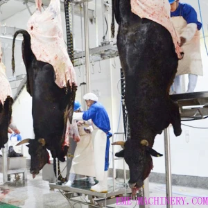 Cattle Abattoir Equipment & Slaughtering Supplies • AES Food Equipment