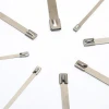 Self-Locking Stainless Steel 201/304/316 Stainless Steel Cable Ties