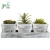 Import Set of 3 Artificial Plants in Rustic Wood Planter Boxes with 11-Inch Display Tray from China