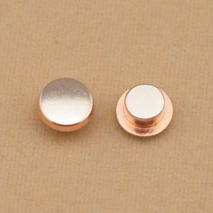 Silver Solid Electrical Contact Rivets for Schneider Proximity Switch