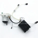 SKULA Auto Parts LR038601 LR038599 LR020016 LR010433 LR005621 Fuel Injection Pumps for freelander Gasoline vehicles 3.2
