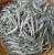 Import South Africa Best quality fertile cheap dried anchovy from South Africa