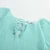 Import Spring Casual Fashion Pullover V-neck Ruffle Long Sleeve Women Blouse Shirt from China
