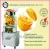 Import stainless steel orange juicer/automatic orange juicer/fresh squeezed orange juiceing machine from China