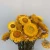 Import Starflower supply natural dried flowers colorful dry chrysanthemum for decoration from China