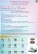 Import Storage Basket Storage Organizer Storage Box Freezer Bins Refrigerator Food Organizer Kitchen Fridge Drawer Fruit Plastic Modern from China