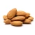 Import Sweet apricot kernels/ Sweet Almond from USA