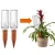 Import Terracotta Self Watering Spikes Slow Release Self Irrigation Watering System For Vacations Irrigation from China