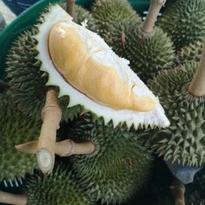 Thai Fresh Fruit Durian