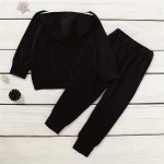 Toddler Tracksuit Spring autumn Baby Clothing Sets Boys Girls Clothes Kids Hooded T-shirt And Pants 2 Pcs Suits