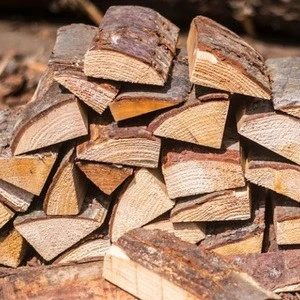 Top Quality wood logs for sale