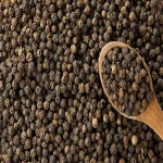 white pepper /WHITE PEPPER PRICE 630 G/L DOUBLE WASHED