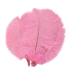Wholesale 15cm/20cm Color Ostrich Feather Mask Material Feather Wall Making