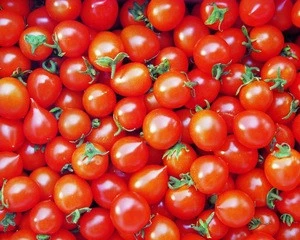 Wholesale Bulk Fresh Tomatoes Buyers