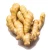 Import Wholesale cheap price fresh ginger from China