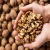 Import Wholesale Cheap Walnuts Nuts Walnut Price USA from China