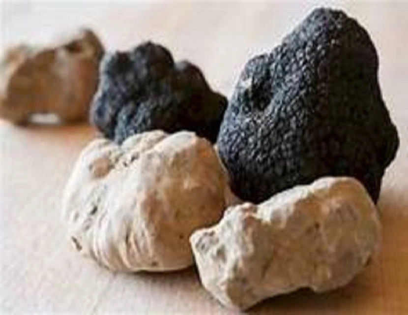 wholesale dried black and white truffle