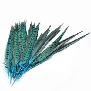 Wholesale dyed 18-20 inch ringneck pheasant tail feathers