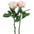 Import Wholesale Fresh Cut Flowers High Grade Cut Fresh Pink Avalache Roses from China