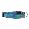 Wholesale OEM Manufacture,  Pet Products 1-Inch Adjustable Dog Clip Collar, 15 by 25-Inch, Large, Tropical Paisley