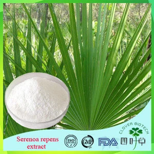 Wholesale Price 25% Palm Fatty Acid Saw Palmetto Extract For Capsules