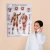 Import Wholesale The Human Musculature Student Teaching Medical Posters from China