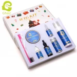 wig Kit set OEM logo custom Hair glue lace glue remover edge control styling mousse,hair wax stick, oil brush