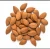 Import Wild bitter almond bitter apricot kernels from China