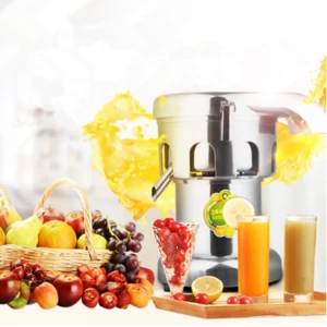 With CE Approval Electric Multifunctional Stainless Steel Commercial Juicer Machine Juice Extractor