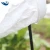 Import Xilei Wholesale Outdoor Hunting Snow Goose Decoy Windsock Tyvek Goose China Goose Decoy With Stake from China