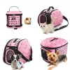 Wholesale Foldable EVA pet carrier bag S.M.L popular size pet carrier
