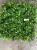 Import Artificial Green wall panel outdoor and indoor from USA