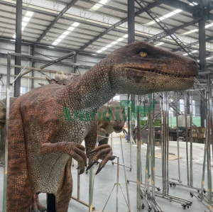 Dino Shows Realistic Velociraptor Costumes﻿