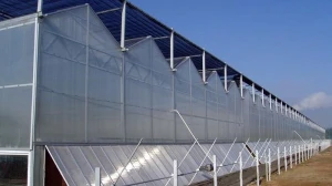 Polycarbonate Greenhouse